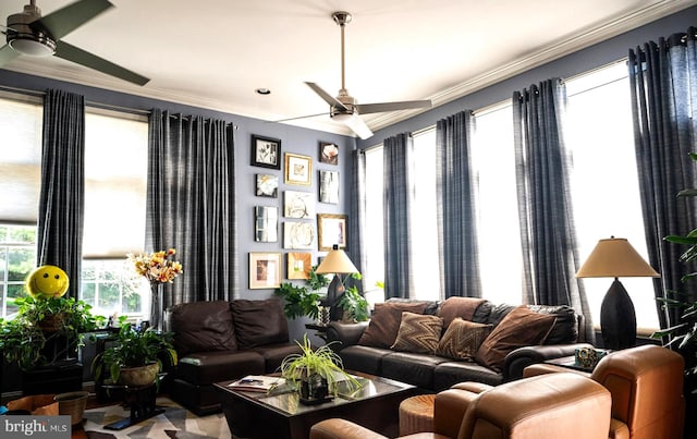 living room with ceiling fan and crown molding