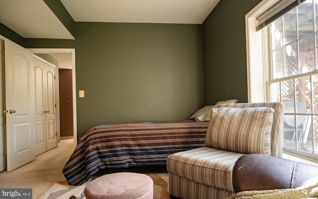 carpeted bedroom featuring multiple windows