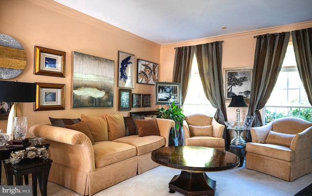 carpeted living room featuring ornamental molding and plenty of natural light