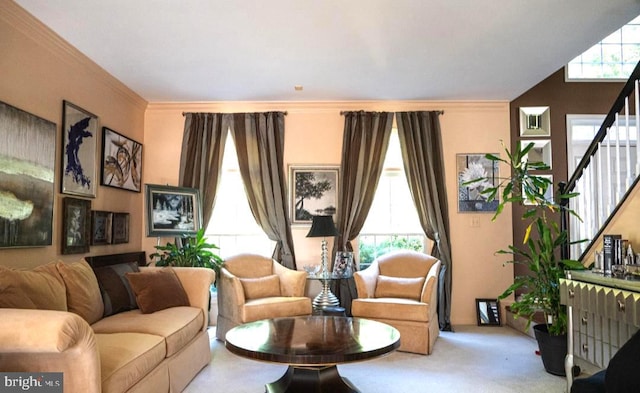 living room with crown molding and carpet