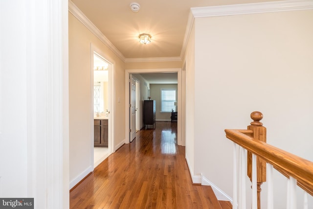 hallway featuring dark hardwood / wood-style floors and ornamental molding