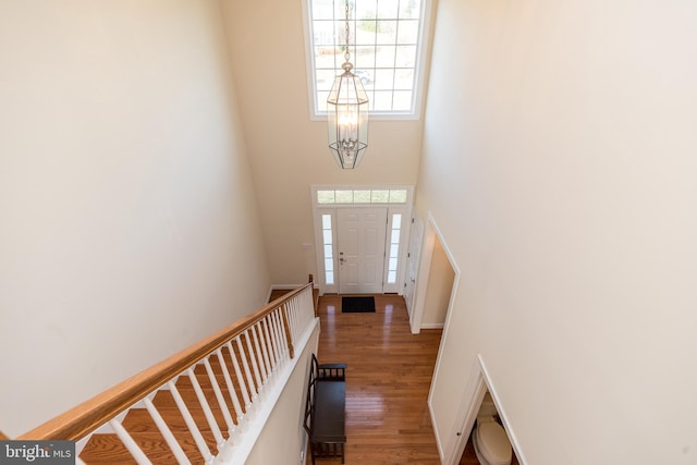 entrance foyer with dark hardwood / wood-style flooring and a high ceiling