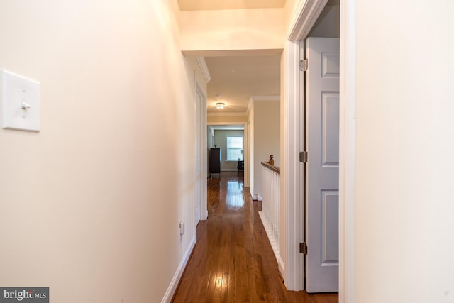 hall featuring dark hardwood / wood-style flooring and crown molding