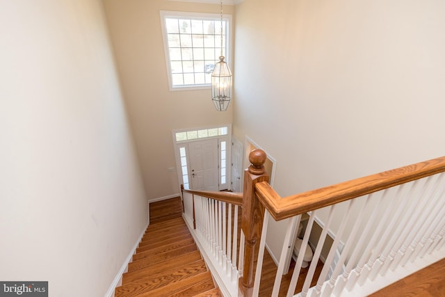 staircase featuring wood-type flooring