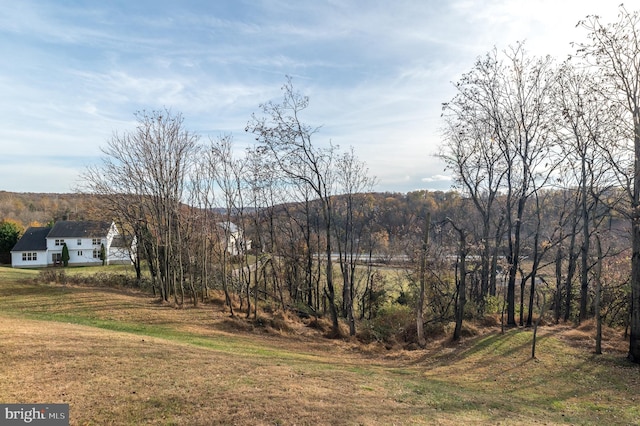 view of mountain feature