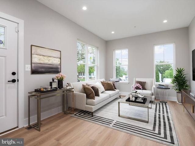 living room featuring light hardwood / wood-style flooring