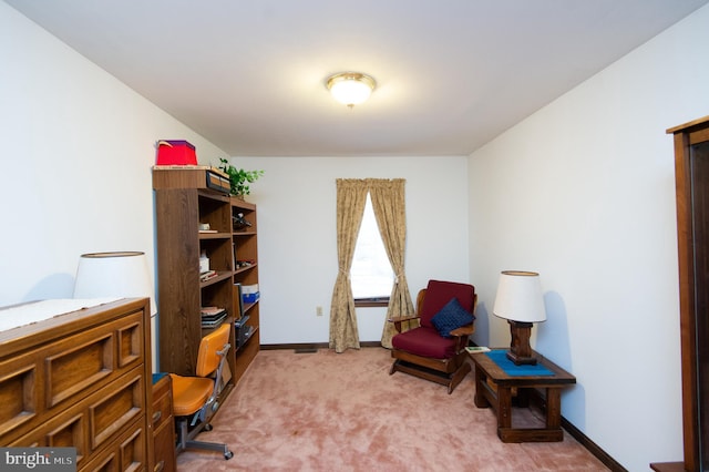 view of carpeted home office