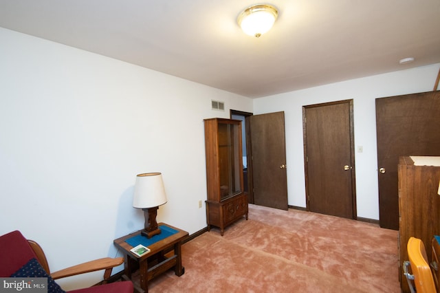 bedroom with light carpet and multiple closets