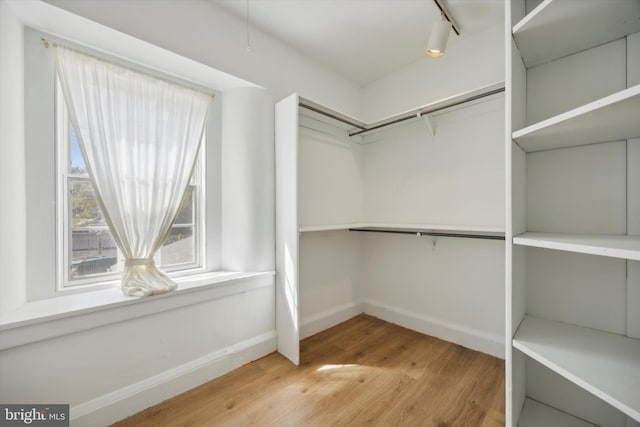 spacious closet featuring light hardwood / wood-style floors