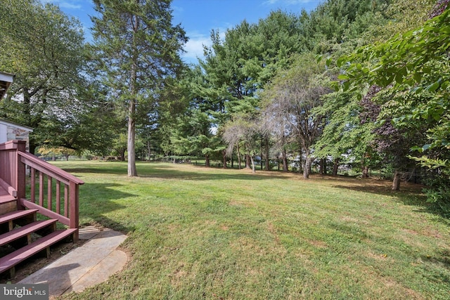 1523 Johnnys Way, West Chester, PA 19382 - view of grassy yard featuring view of wooded area