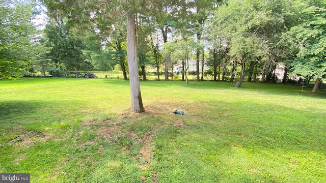 1523 Johnnys Way, West Chester, PA 19382 - view of green lawn