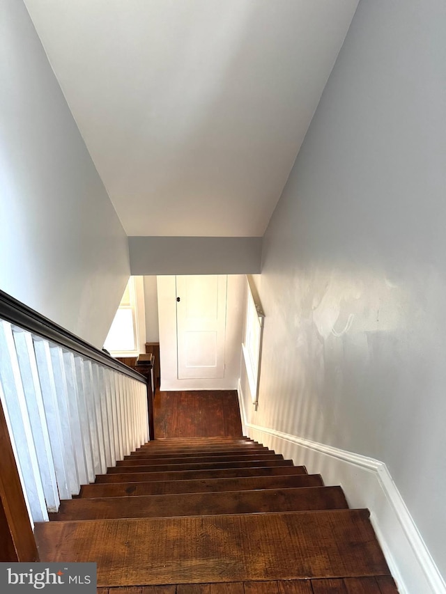 staircase featuring hardwood / wood-style floors