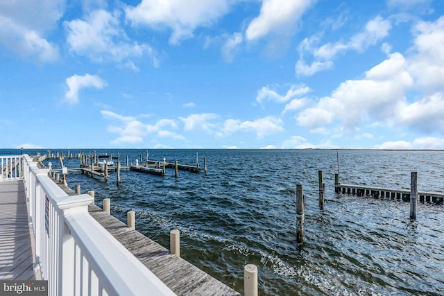 dock area with a water view