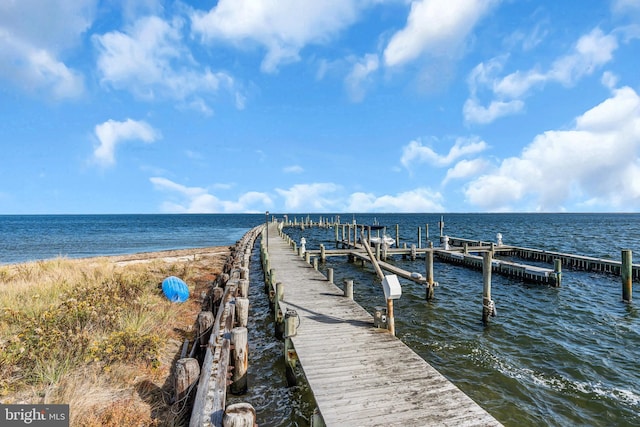 dock area featuring a water view