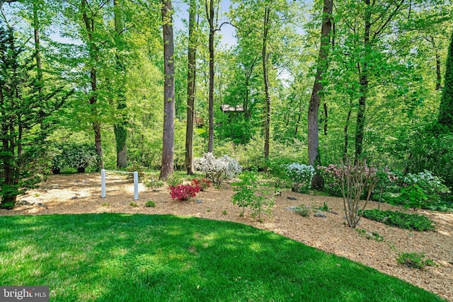 9103 Home Guard Dr, Burke, VA 22015 - view of green lawn