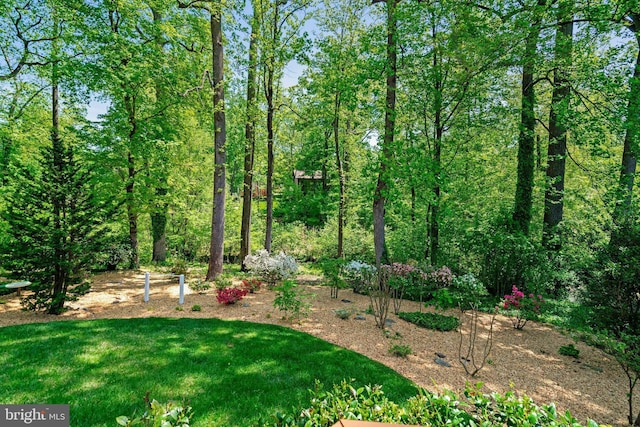 9103 Home Guard Dr, Burke, VA 22015 - view of yard