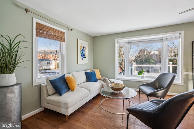 living room featuring a healthy amount of sunlight and hardwood / wood-style floors