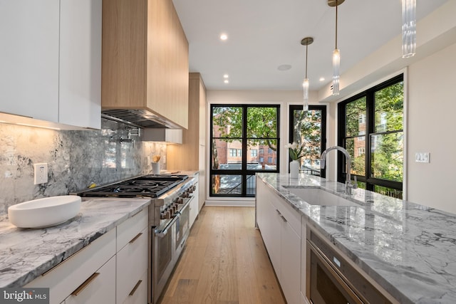 kitchen with white cabinets, light hardwood / wood-style floors, stainless steel appliances, and a healthy amount of sunlight