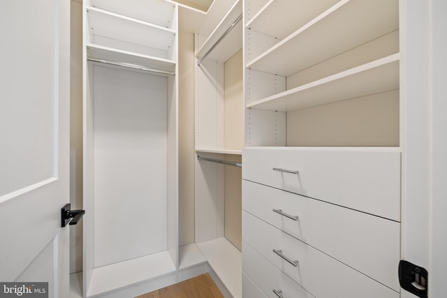 walk in closet featuring hardwood / wood-style flooring