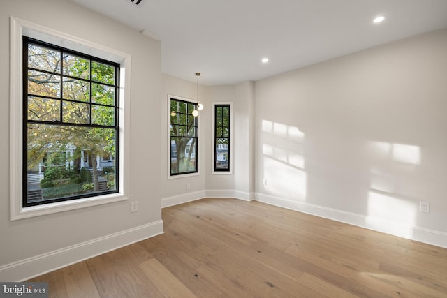 empty room featuring a wealth of natural light and light hardwood / wood-style flooring