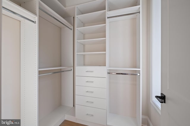 view of spacious closet