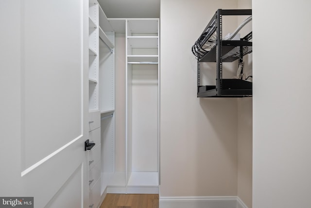 spacious closet with wood-type flooring