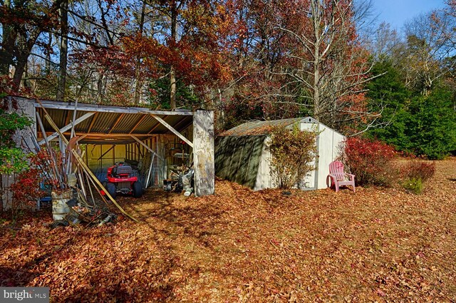 view of yard featuring a storage unit