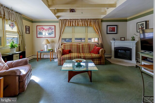 living room with carpet, ornamental molding, and a baseboard heating unit