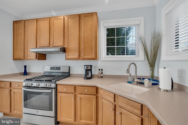 kitchen featuring stainless steel gas range, sink, and ornamental molding