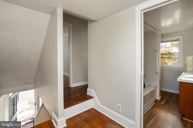 staircase featuring hardwood / wood-style floors