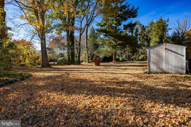 view of yard featuring a storage shed