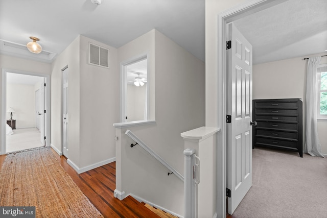 hall featuring wood-type flooring