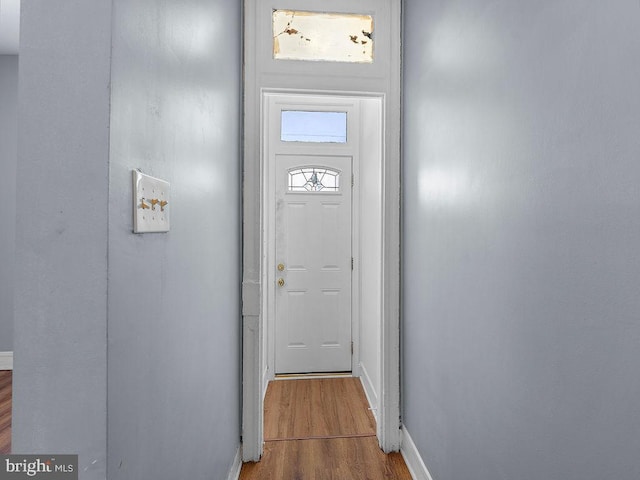 doorway featuring wood-type flooring