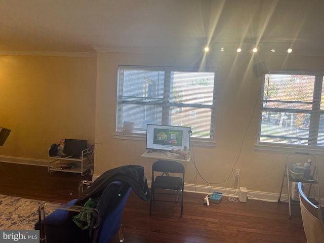 office space featuring dark hardwood / wood-style floors and crown molding