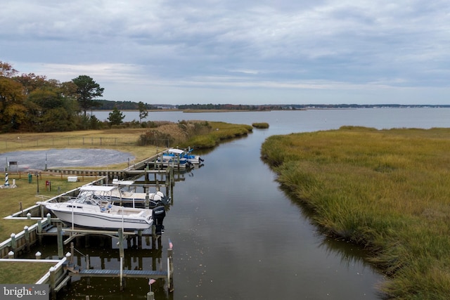 dock area with a water view