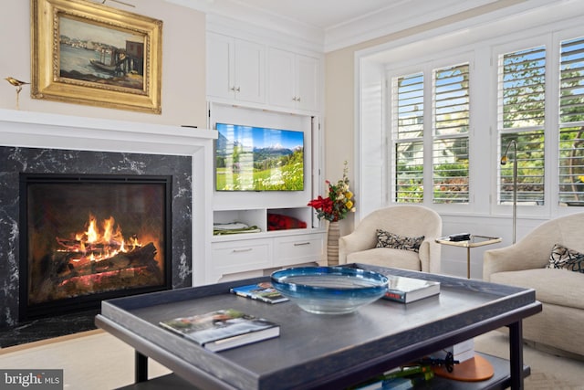 155 E Oakland Ave, Doylestown, PA 18901 - playroom with a high end fireplace and crown molding