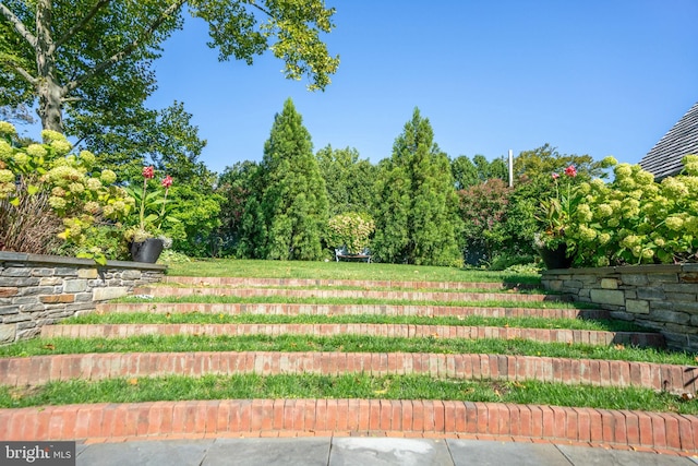 155 E Oakland Ave, Doylestown, PA 18901 - view of yard