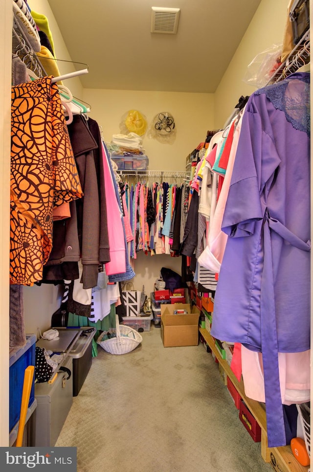 walk in closet with carpet floors