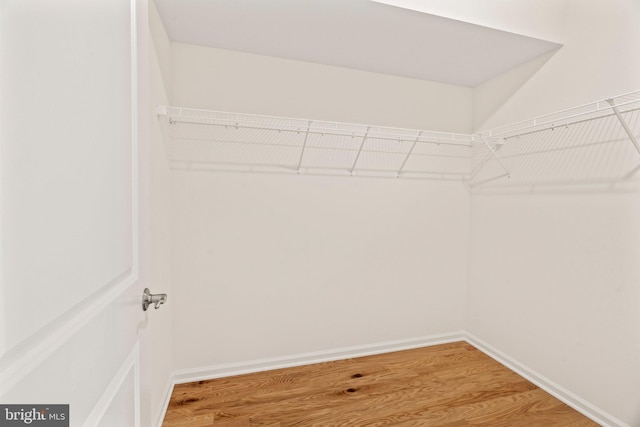walk in closet with light wood-type flooring