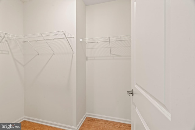 walk in closet with hardwood / wood-style floors