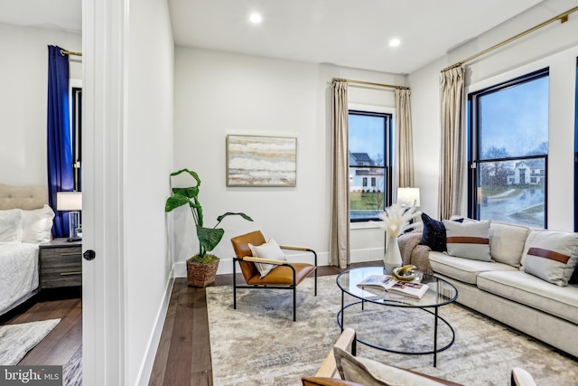 living room with dark hardwood / wood-style floors