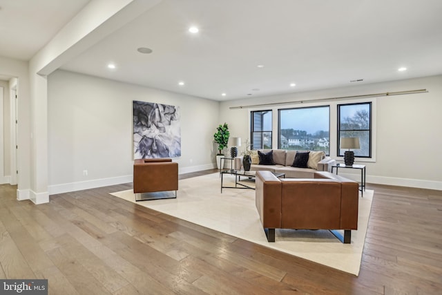 living room featuring light hardwood / wood-style floors