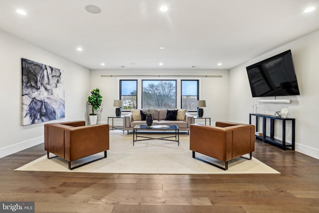 living room featuring hardwood / wood-style floors