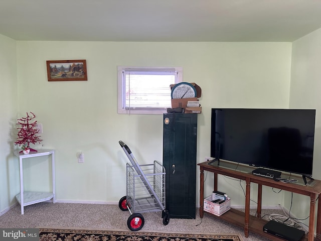 workout room featuring carpet floors