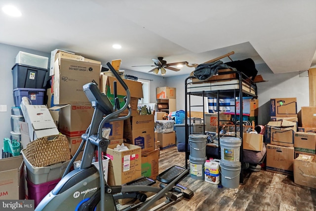 storage room with ceiling fan