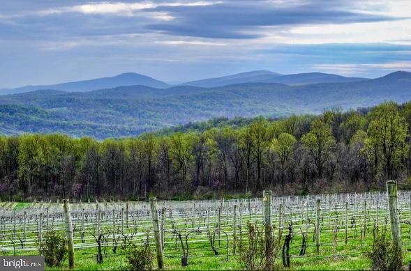 property view of mountains with a rural view and a forest view