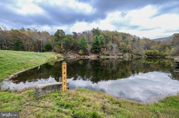 property view of water with a view of trees