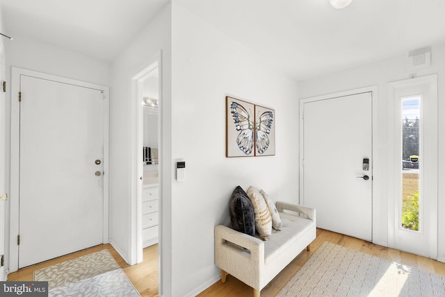 entrance foyer with light hardwood / wood-style flooring