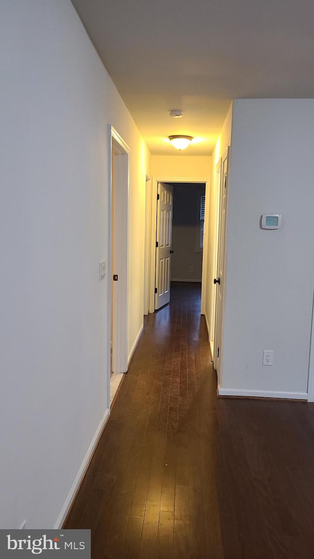 corridor featuring dark hardwood / wood-style floors