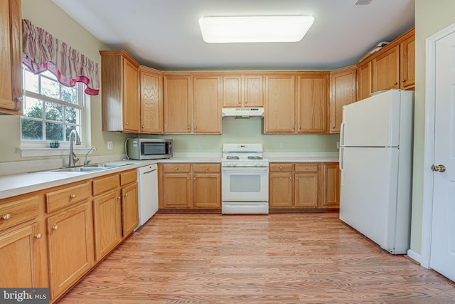 kitchen with sink, white appliances, and light hardwood / wood-style flooring